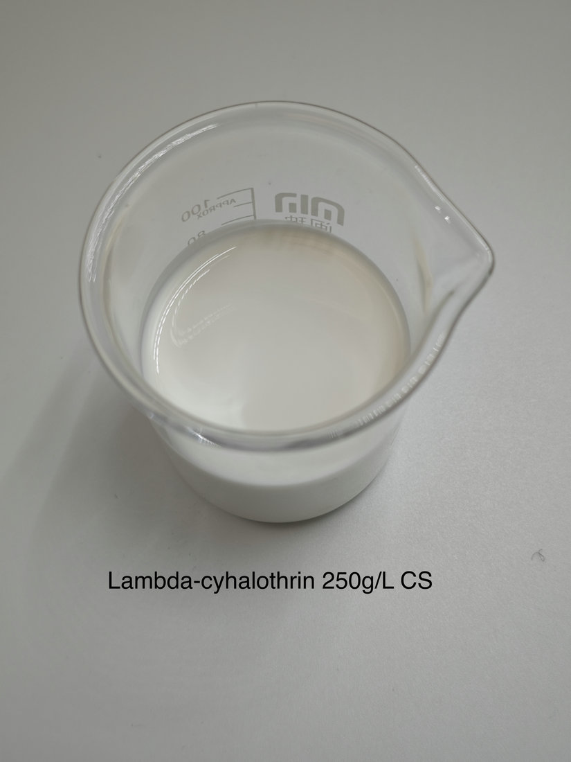 Lambda-cyhalothrin 250g/L CS